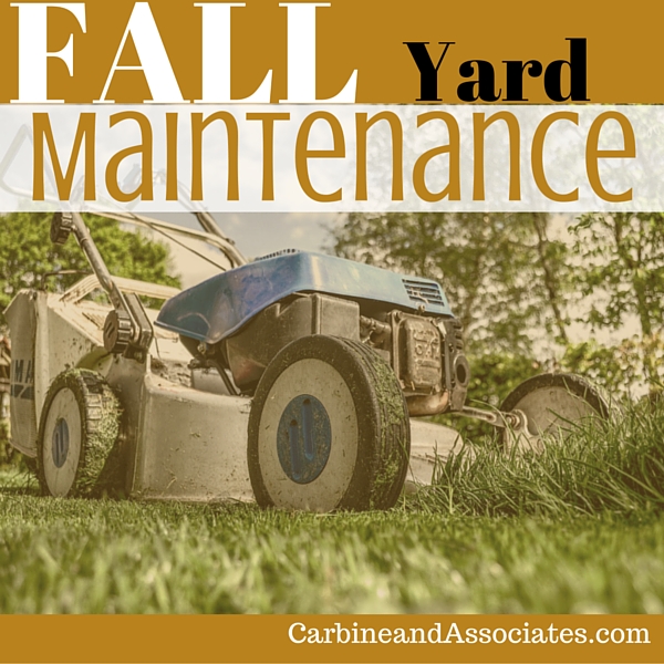 Fall Yard Maintenance:  What You Need to Do Now