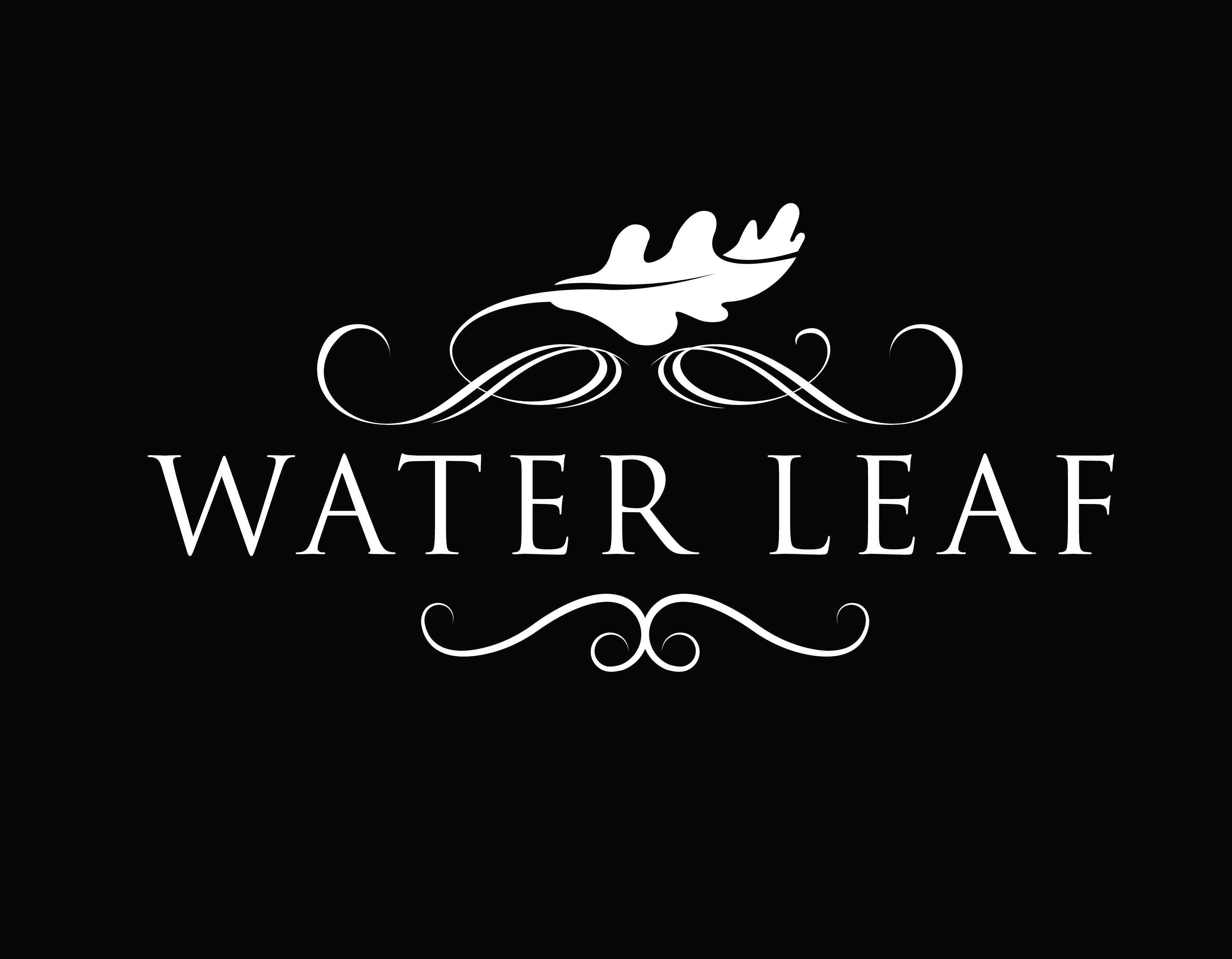 Water-Leaf-Carbine-And-Associates
