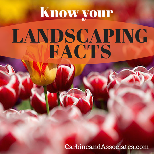 5 Landscaping Facts to Know Before Building Your Custom Home
