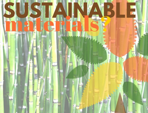 Should You Build Your Custom Home with Sustainable Materials